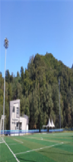 황송공원 인조잔디구장 전경