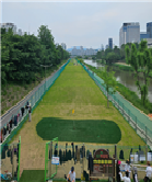 분당정 국궁장 전경